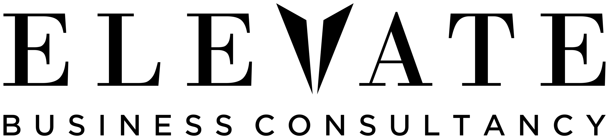 Elevate Business Consultancy